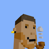 punkvoxels